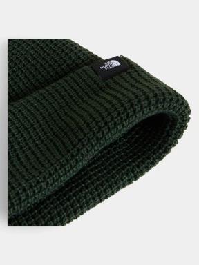 caciula tricotata The North Face Tnf Fisherman Beanie verde inchis 3