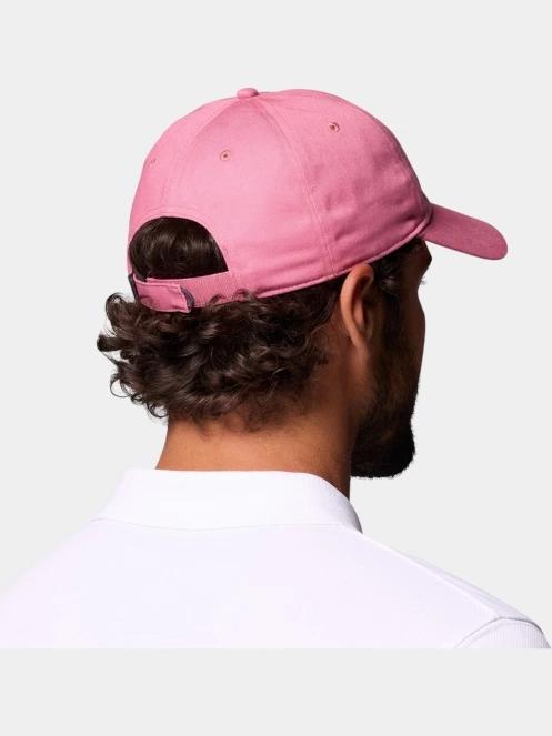 sapca de baseball Columbia Provisions Ball Cap roz 7