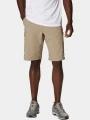 pantaloni scurti pentru drumetii pt. barbati Columbia Silver Ridge Cargo Short nisip 1