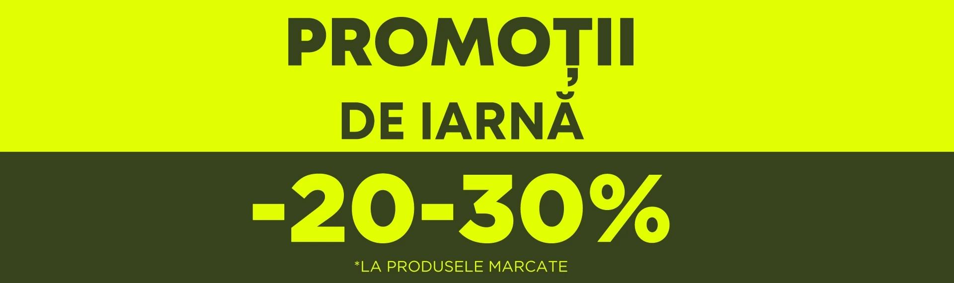 Promotii de iarna