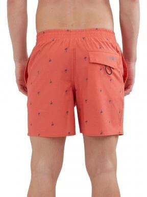 Bono Print Boardshort