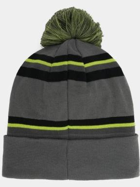 caciula cu mot Spyder Icebox Hat gri 3