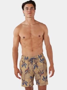 sorturi de baie pentru barbati pt. barbati Barts Fervis Shorts maro 1