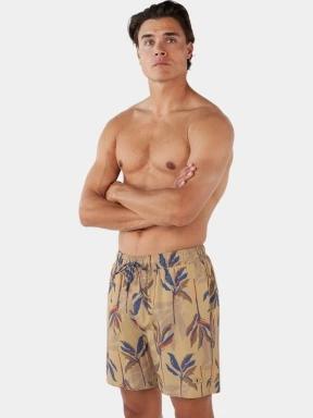 sorturi de baie pentru barbati pt. barbati Barts Fervis Shorts maro 3