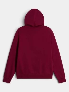 pulover cu gluga pt. femei The North Face W Evolution Simple Dome Regular Hoodie bordo 3