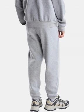 pantaloni de trening pt. barbati The North Face M Evolution Simple Dome Regular Jogger gri 3