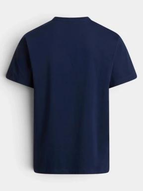 tricou cu maneci scurte pt. barbati The North Face M Evolution Simple Dome Regular Short Sl albastru inchis 3