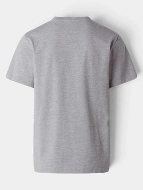 tricou cu maneci scurte pt. barbati The North Face M Evolution Simple Dome Regular Short Sl gri 3