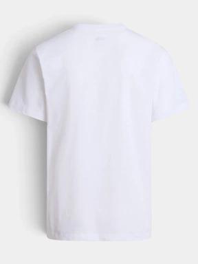 tricou cu maneci scurte pt. barbati The North Face M Evolution Simple Dome Regular Short Sl alb 3