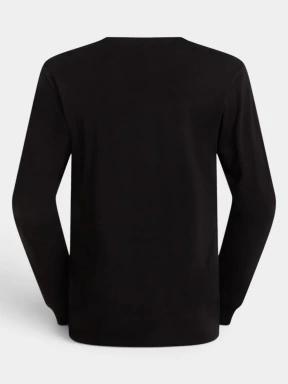 tricou cu maneci lungi pt. barbati The North Face M Evolution Simple Dome Regular Long Sle negru 3