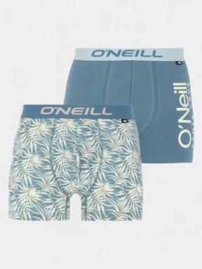 indispensabili pt. barbati O'Neill O'Neill Men Boxershorts Dipped Leaf 2-Pack albastru 1