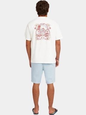 pantaloni scurti pt. barbati O'Neill O'Riginals Walk Shorts albastru deschis 3