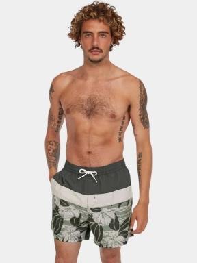 sort de plaja pt. barbati O'Neill O'Neill Cali Block 15'' Swimshorts oliv 1