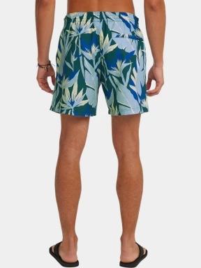 sorturi de baie pentru barbati pt. barbati O'Neill O'Neill Print 16'' Swimshorts albastru 3