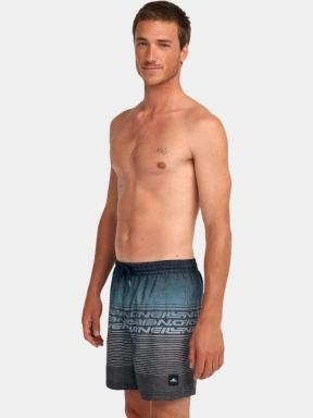 sorturi de baie pentru barbati pt. barbati O'Neill O'Neill Logo Stripe 16'' Swimshorts gri 1