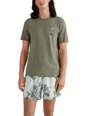 tricou cu maneci scurte pt. barbati O'Neill Dulce T-Shirt verde 1