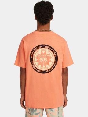 tricou cu maneci scurte pt. barbati O'Neill O'Neill Slub Back Print T-Shirt portocaliu 3