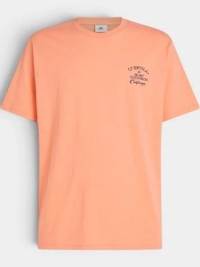 tricou cu maneci scurte pt. barbati O'Neill O'Neill Beach Chest Print T-Shirt portocaliu 1