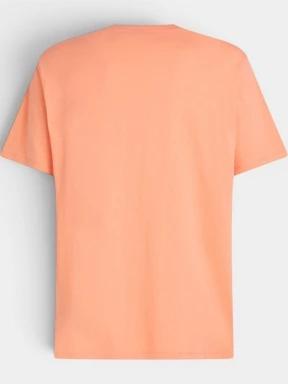 tricou cu maneci scurte pt. barbati O'Neill O'Neill Beach Chest Print T-Shirt portocaliu 3