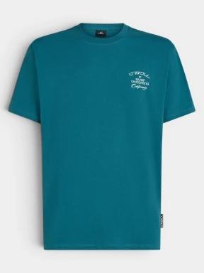 tricou cu maneci scurte pt. barbati O'Neill O'Neill Beach Chest Print T-Shirt verde 1