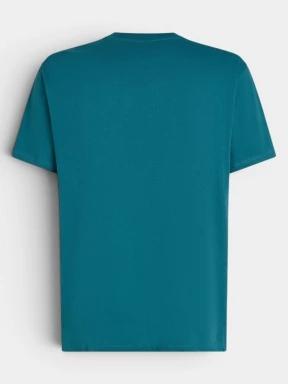 tricou cu maneci scurte pt. barbati O'Neill O'Neill Beach Chest Print T-Shirt verde 3