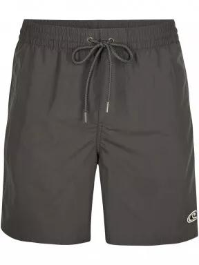 sorturi de baie pentru barbati pt. barbati O'Neill Vert Swim Shorts gri 1