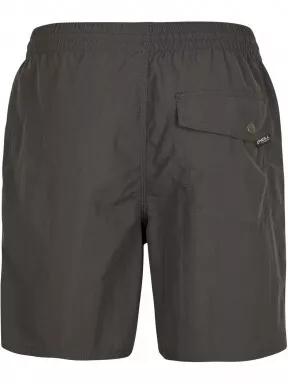 sorturi de baie pentru barbati pt. barbati O'Neill Vert Swim Shorts gri 3