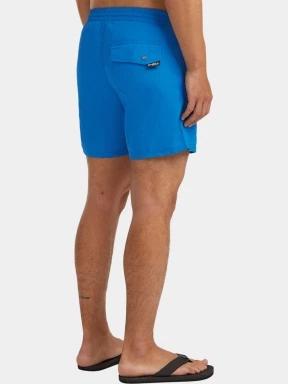 sort de plaja pt. barbati O'Neill Vert 16'' Swim Shorts albastru 3