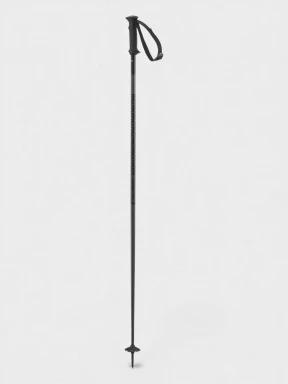 bat de schi Salomon Polar Access negru 1