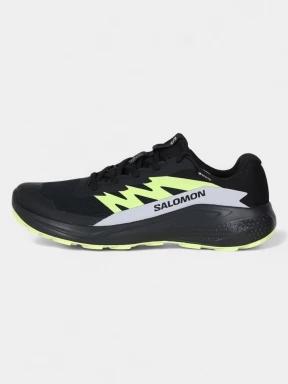 pantofi pentru alergat pe asfalt pt. barbati Salomon Alphaglide GTX negru 3