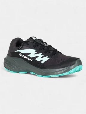 pantofi pentru alergat pe asfalt pt. femei Salomon Alphaglide GTX W negru 1
