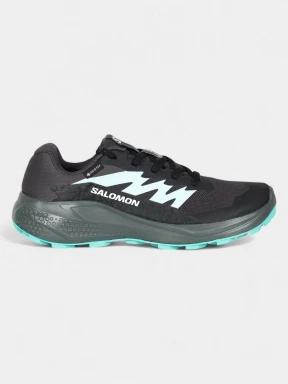 pantofi pentru alergat pe asfalt pt. femei Salomon Alphaglide GTX W negru 3