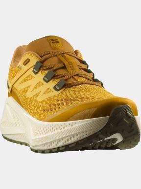 pantofi pentru alergat pe asfalt pt. barbati Salomon Aero Glide 3 Grvl galben 1