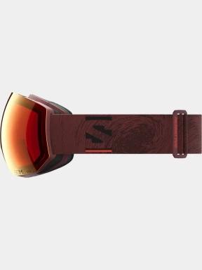 ochelari de schi Salomon Radium Pro Sigma Photo bordo 3