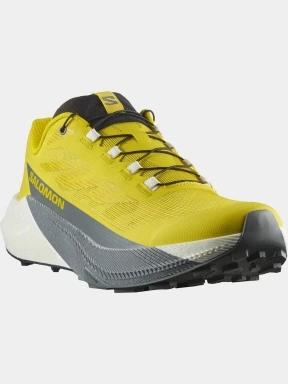 pantofi pentru alergare pt. barbati Salomon PuLSar galben 1
