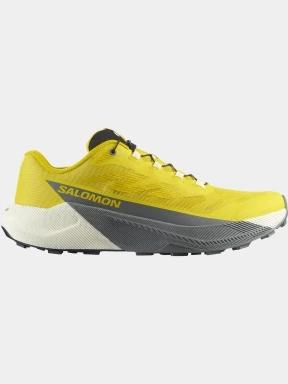 pantofi pentru alergare pt. barbati Salomon PuLSar galben 3