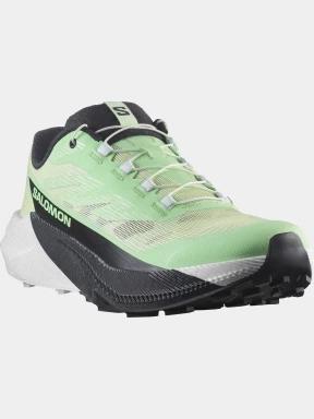 pantofi pentru alergare pt. femei Salomon Pulsar W verde deschis 1