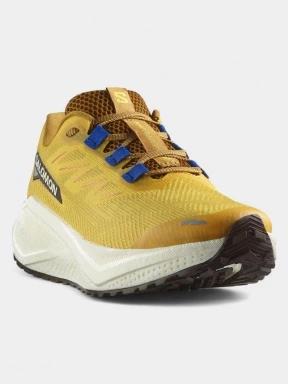 pantofi pentru alergare pt. barbati Salomon Aero Blaze 3 GRVL galben 1