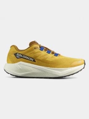 pantofi pentru alergare pt. barbati Salomon Aero Blaze 3 GRVL galben 3