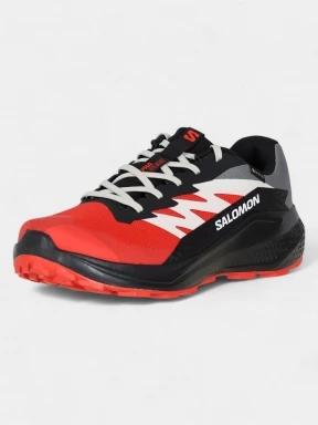 pantofi pentru alergare pt. barbati Salomon Alphaglide GTX rosu 1