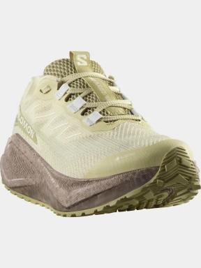 pantofi pentru alergare pt. femei Salomon Aero Blaze 3 Grvl GTX W verde 1