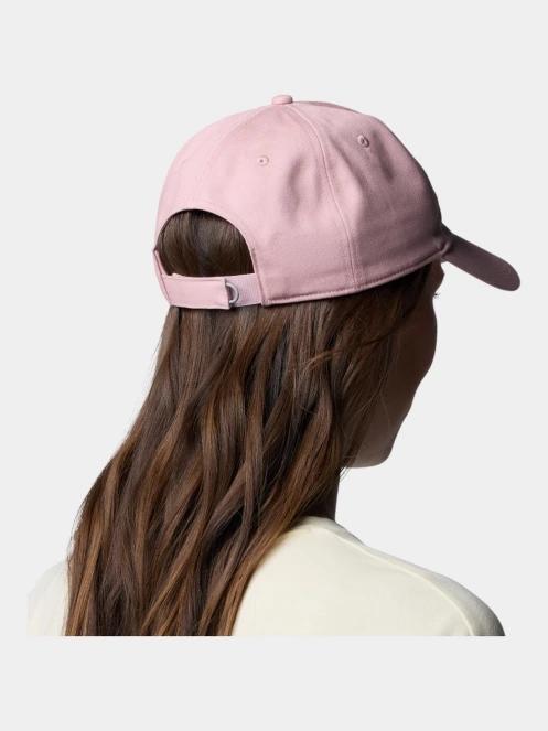 sapca de baseball pt. barbati Columbia Provisions Ball Cap roz 5