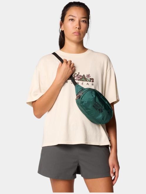 geanta de talie pt. barbati Mountain Hardwear Field Day Hip Pack verde 7