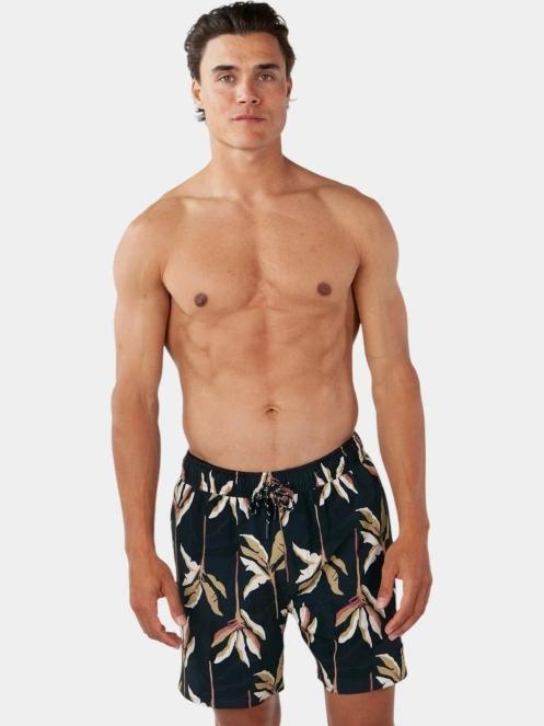 sorturi de baie pentru barbati pt. barbati Barts Fervis Shorts negru 2
