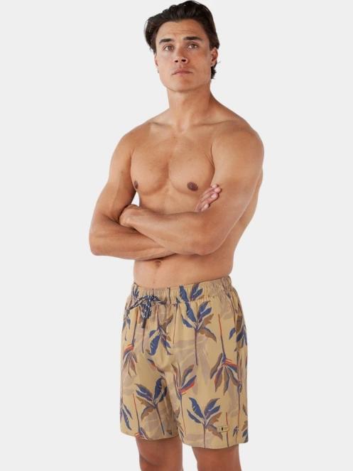 sorturi de baie pentru barbati pt. barbati Barts Fervis Shorts maro 3