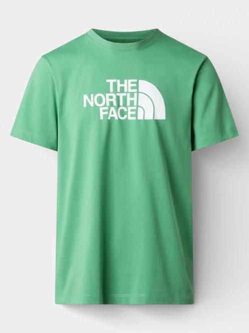 tricou cu maneci scurte pt. barbati The North Face M Evolution Half Dome Regular Short Slee verde 6