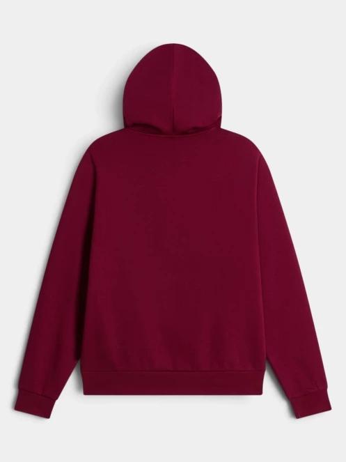pulover cu gluga pt. femei The North Face W Evolution Simple Dome Regular Hoodie bordo 3