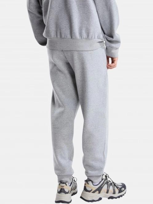 pantaloni de trening pt. barbati The North Face M Evolution Simple Dome Regular Jogger gri 3