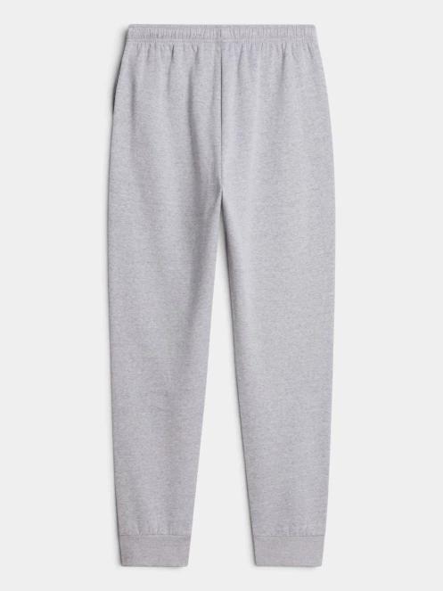 pantaloni de trening pt. barbati The North Face M Evolution Simple Dome Regular Jogger gri 6