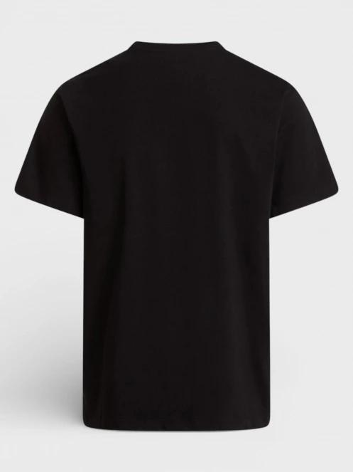 tricou cu maneci scurte pt. barbati The North Face M Evolution Simple Dome Regular Short Sl negru 6